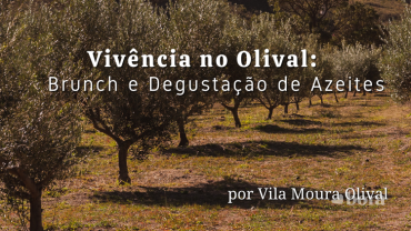 Vivência no Olival: Brunch e Degustação de Azeites, por Vila Moura Olival